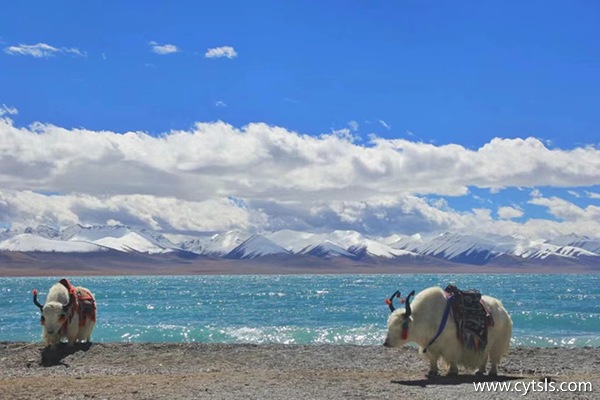 最合適去西藏旅游的時間