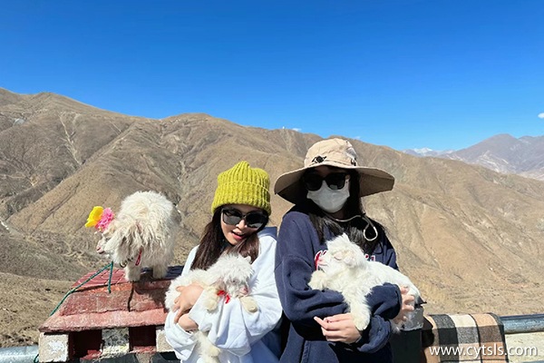 兩人去西藏預算多少錢