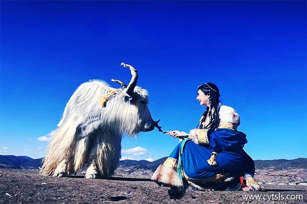 珠海到西藏旅游團多少錢