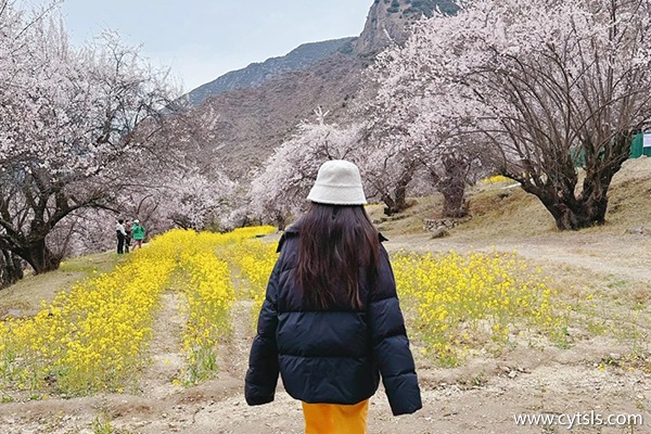 四月花3000跟團(tuán)西藏旅游夠嗎