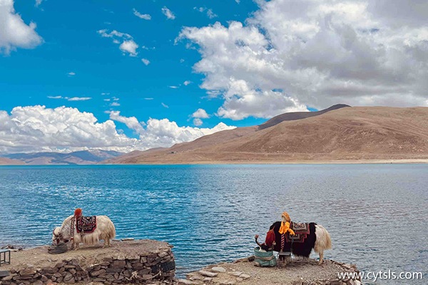 兩人去西藏旅游一個星期多少錢