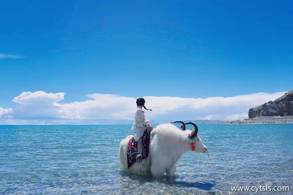許昌去西藏七天需要多少錢(qián)